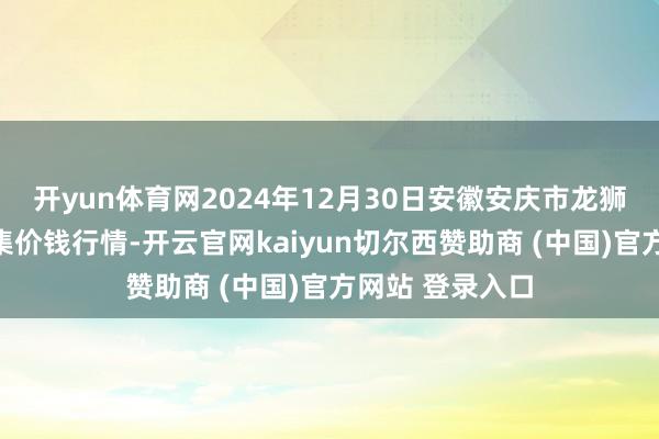 開yun體育網2024年12月30日安徽安慶市龍獅橋蔬菜批發市集價錢行情-開云官網kaiyun切爾西贊助商 (中國)官方網站 登錄入口