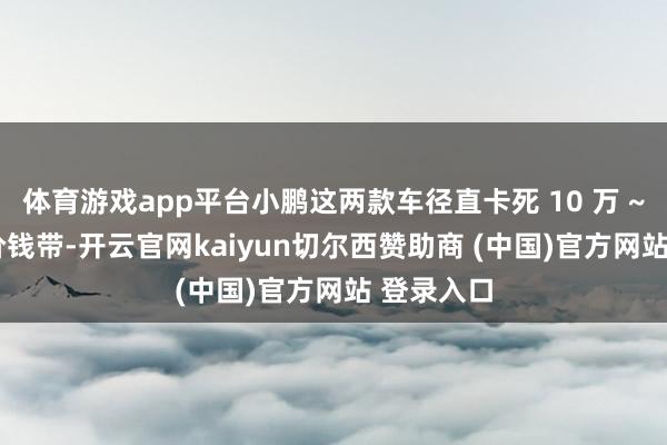 體育游戲app平臺小鵬這兩款車徑直卡死 10 萬 ~20 萬元價(jià)錢帶-開云官網(wǎng)kaiyun切爾西贊助商 (中國)官方網(wǎng)站 登錄入口